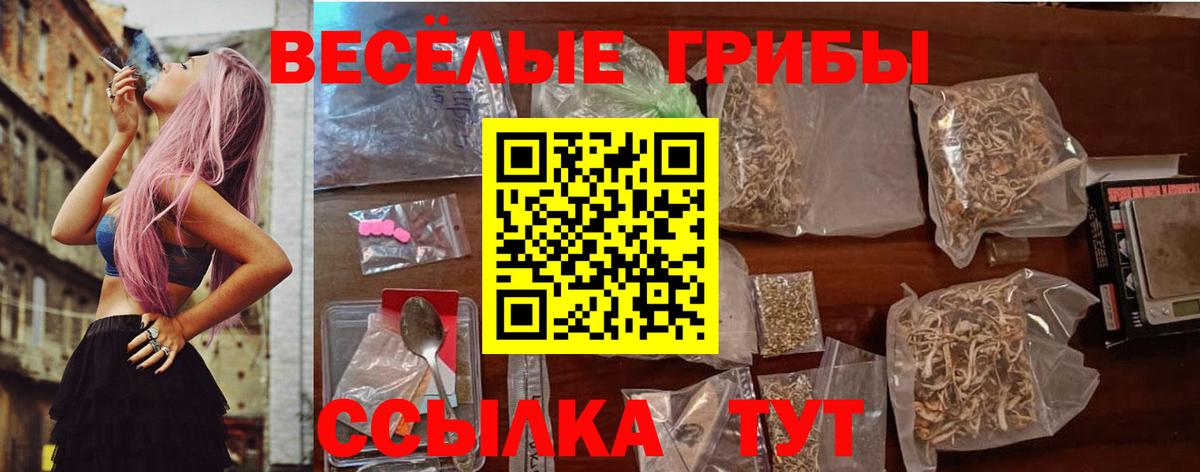 Псилоцибиновые грибы Psilocybine cubensis  Вход с VPN  Елец 