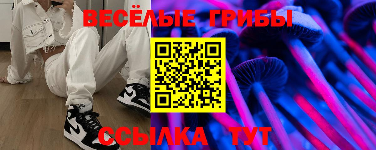 Псилоцибиновые грибы прущие грибы Елец